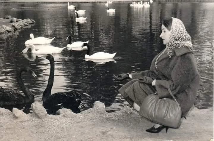 TITA MERELLO
en "Los evadidos" (Enrique Carreras, 1964)